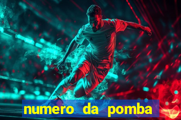 numero da pomba jogo do bicho